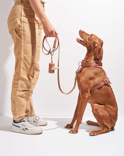 Waterproof Dog Leash