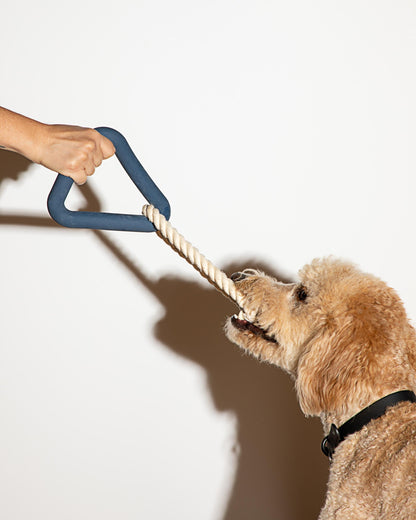 Dog Toy Kit