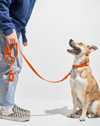 Waterproof Dog Collar