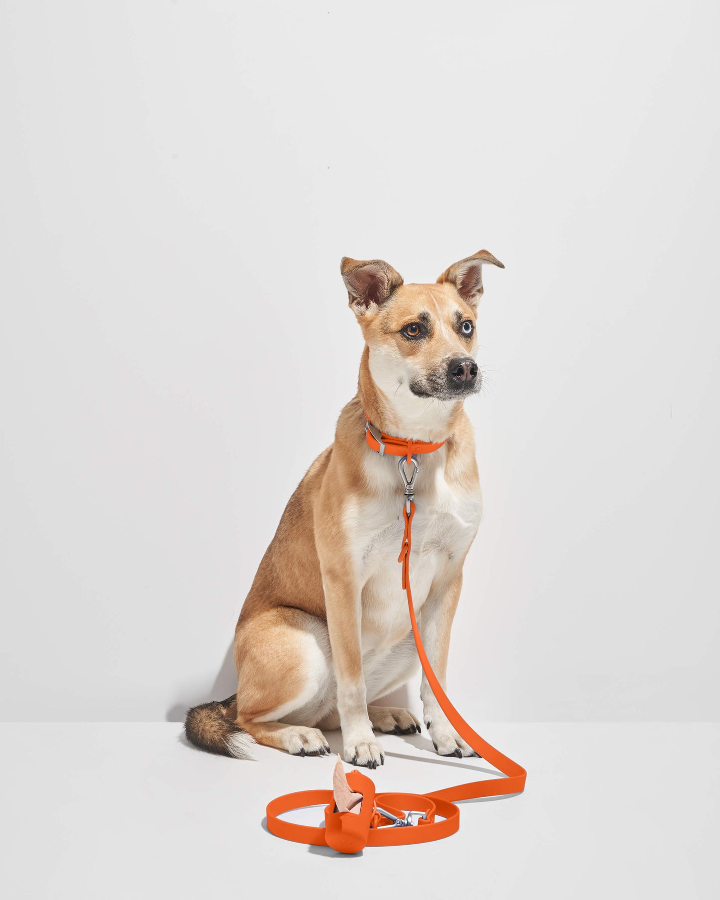 Waterproof Dog Leash