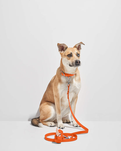 Waterproof Dog Leash