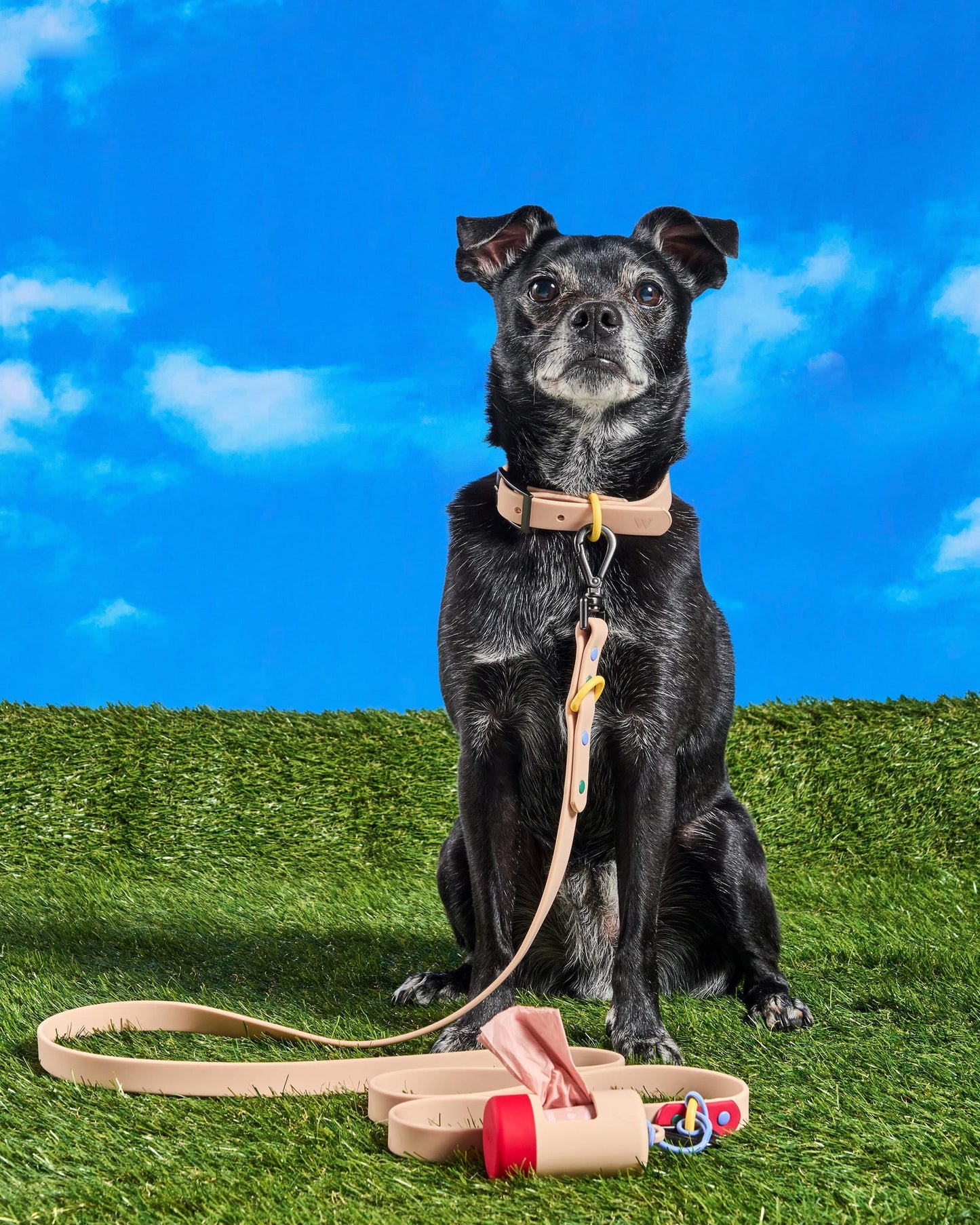 Waterproof Dog Collar