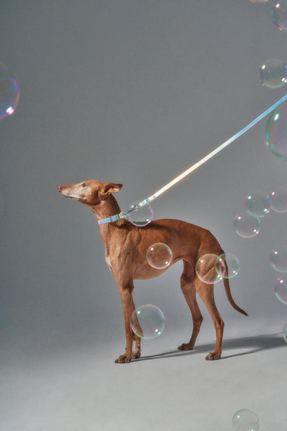 Waterproof Dog Collar