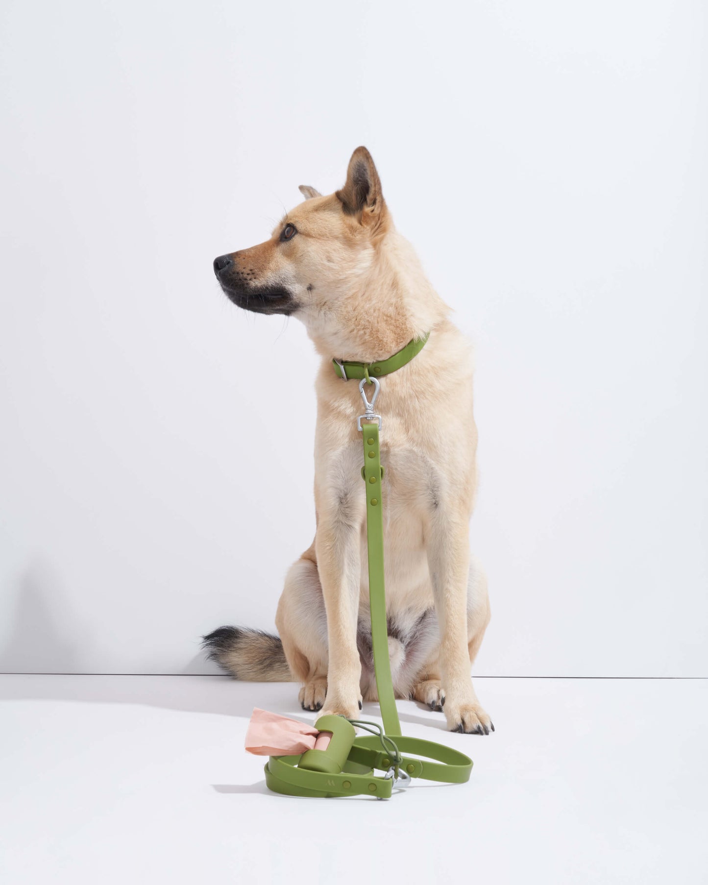 Waterproof Dog Collar