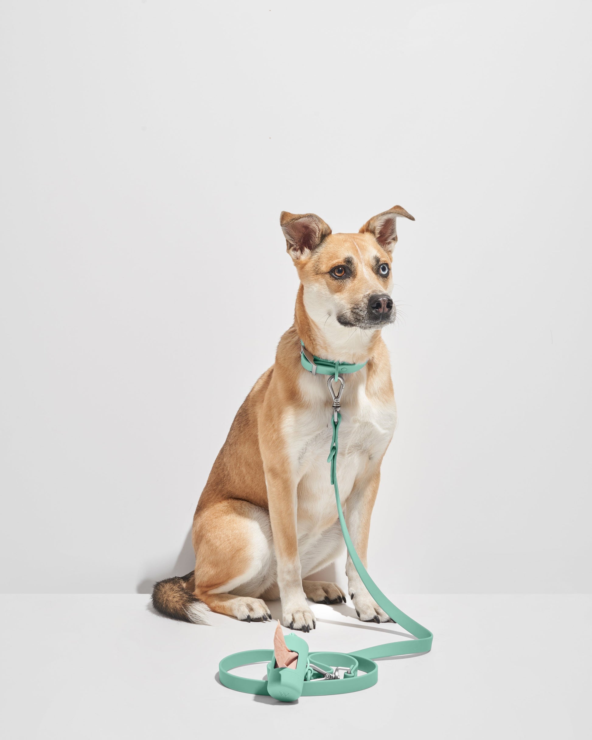 Waterproof Dog Collar