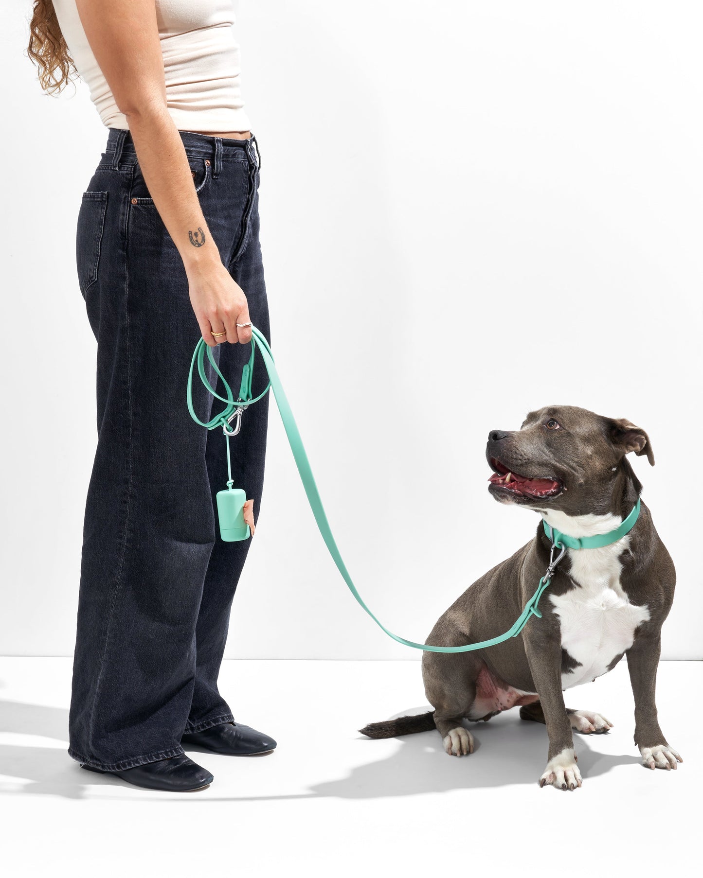 Waterproof Dog Collar