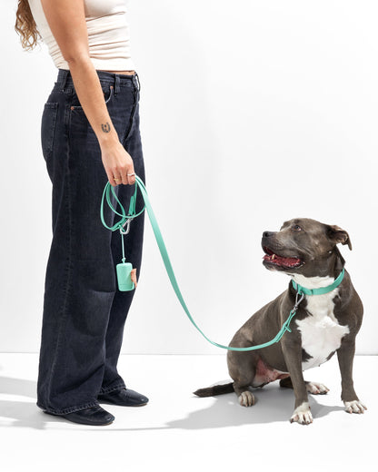 Waterproof Dog Leash