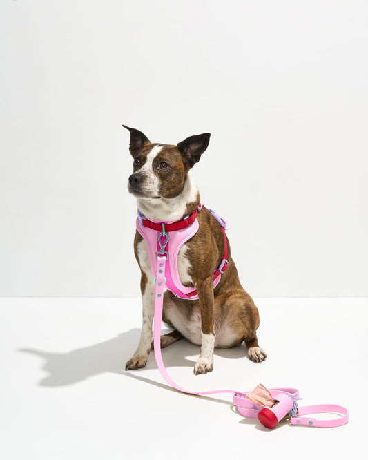 Waterproof Dog Leash