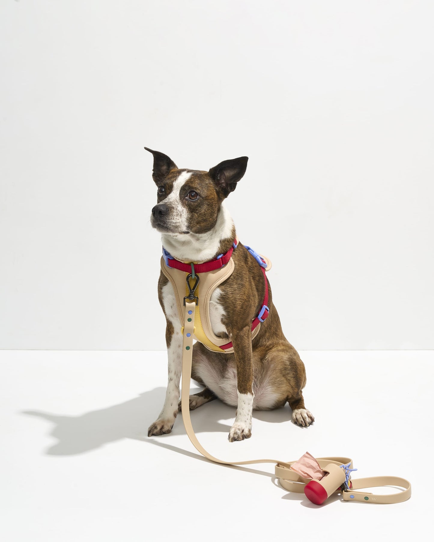 Waterproof Dog Leash