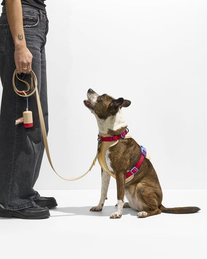 Waterproof Dog Leash