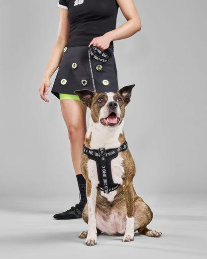 Step-In Dog Harness