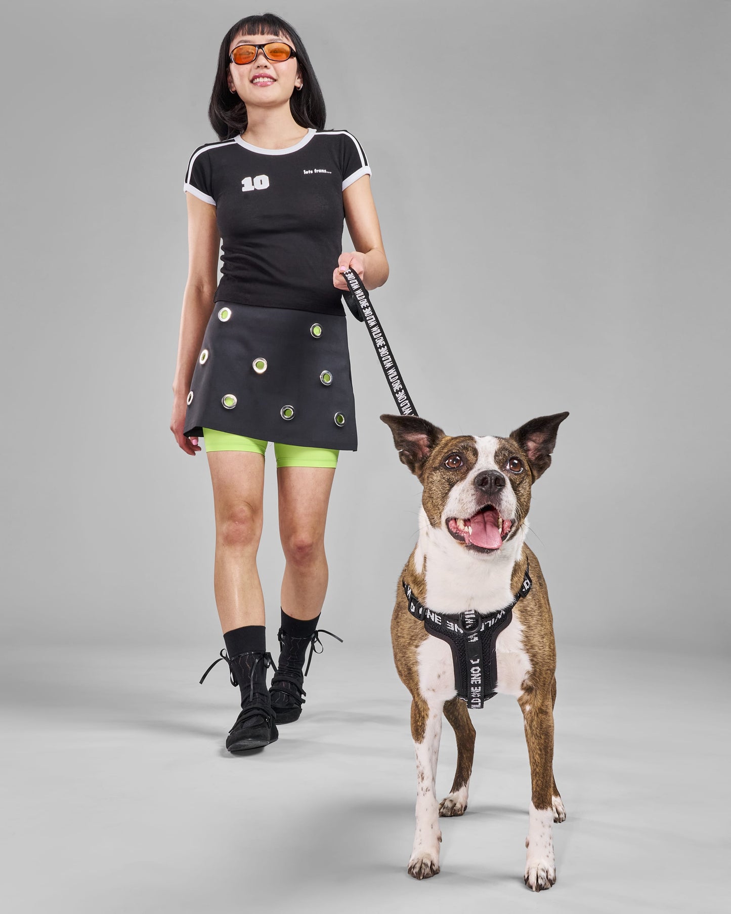 Lightweight Dog Leash