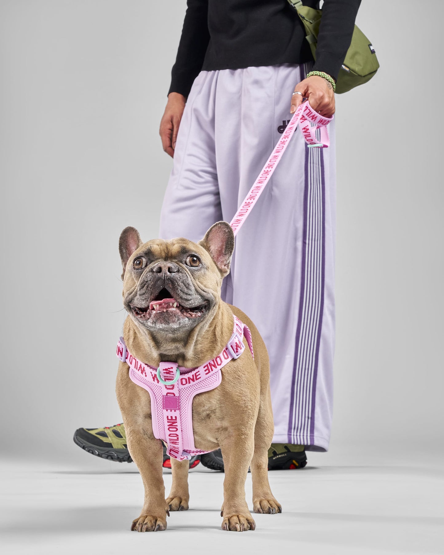 Lightweight Dog Leash