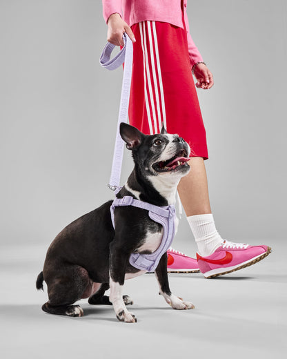 Lightweight Dog Leash