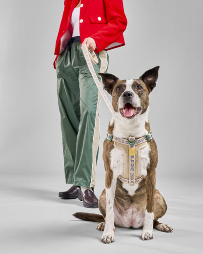 Lightweight Dog Leash