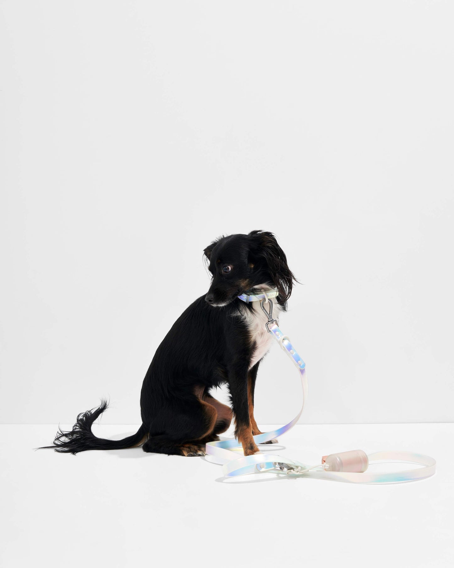 Waterproof Dog Leash
