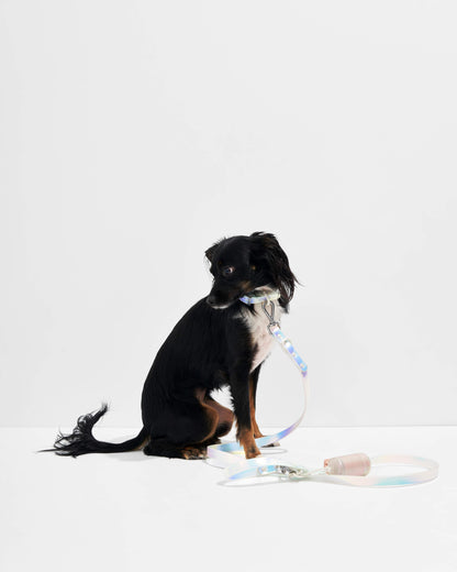 Waterproof Dog Leash