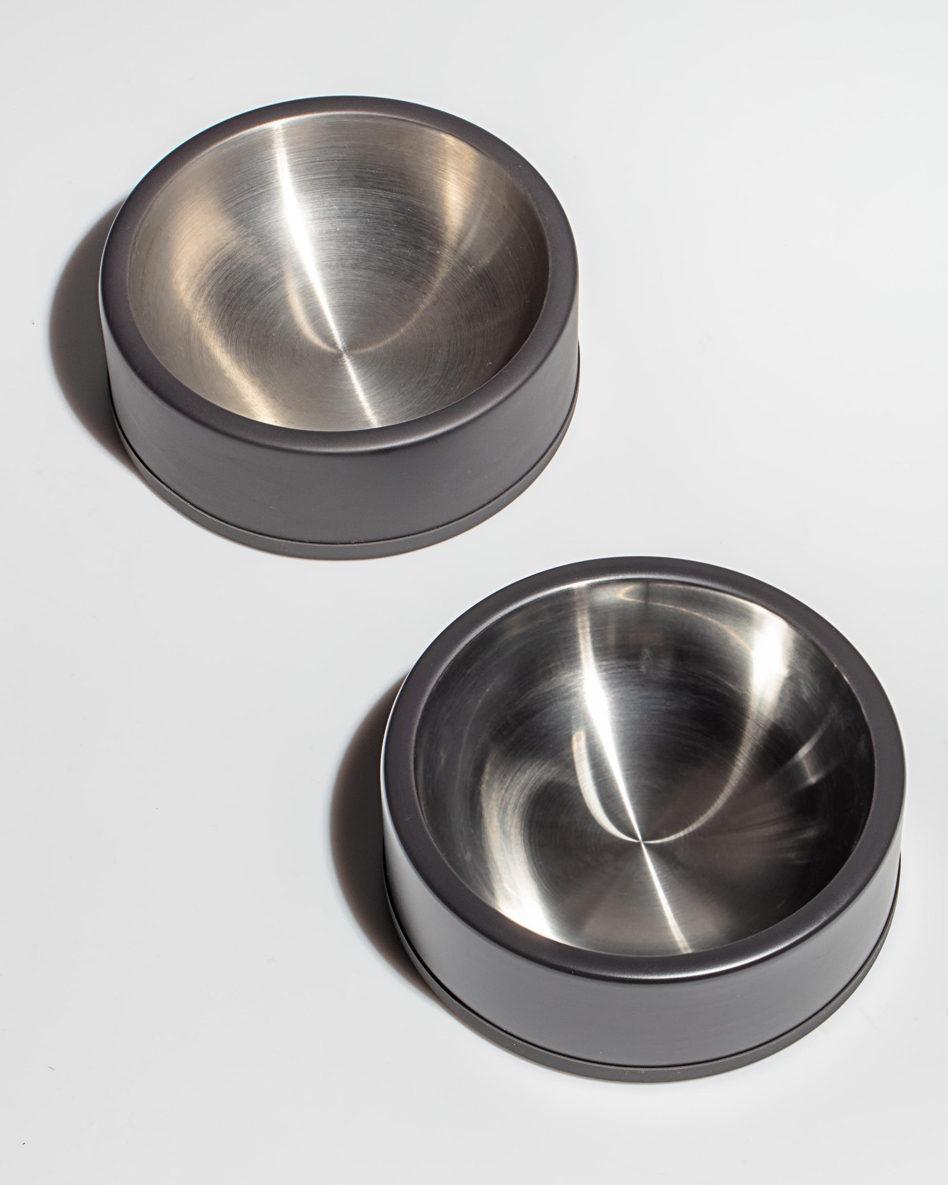 Dog Bowl