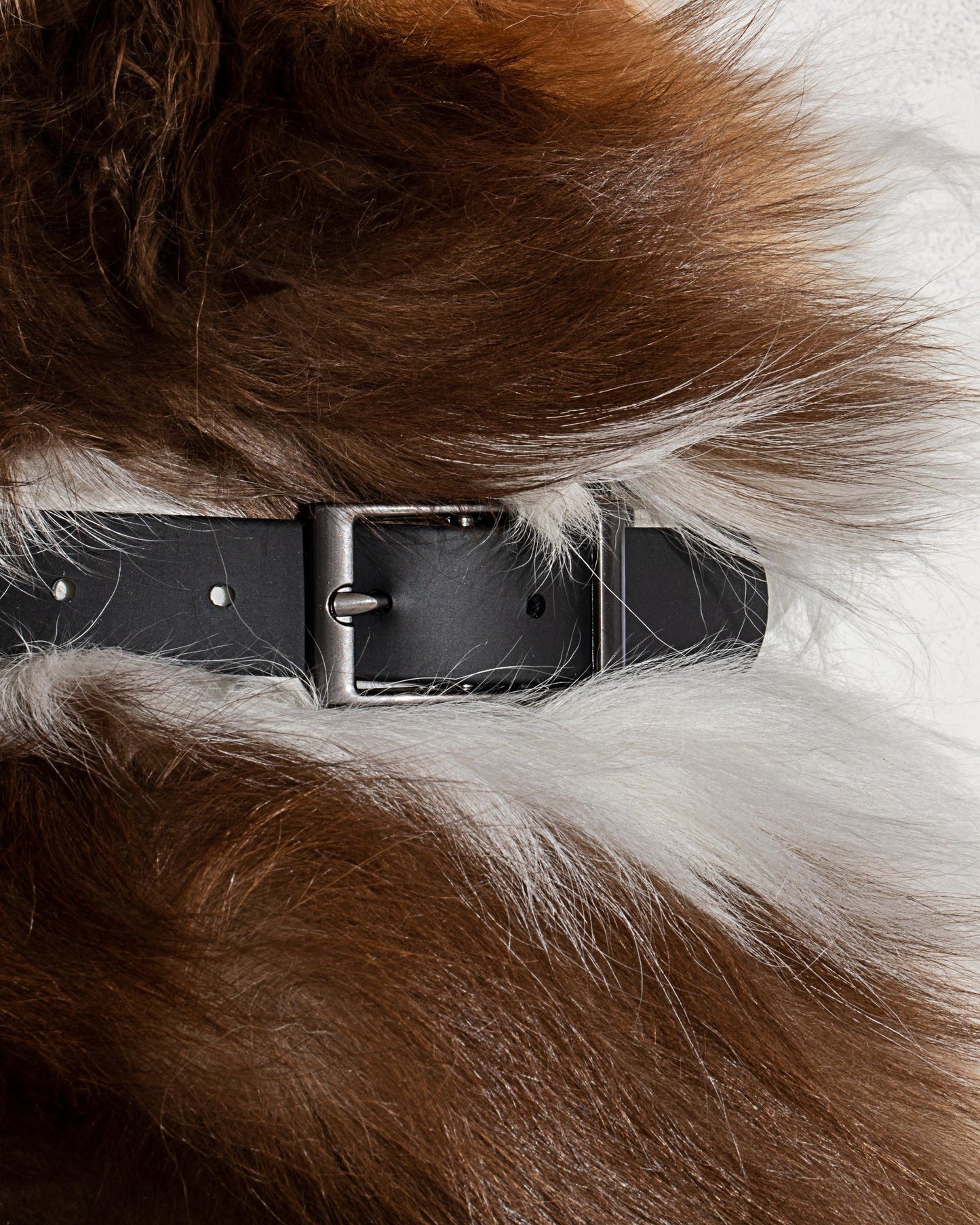 Waterproof Dog Collar