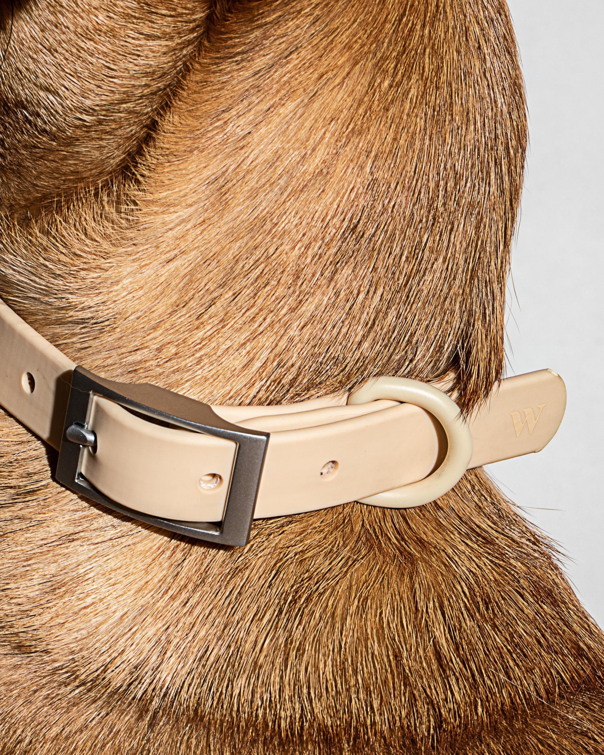 Waterproof Dog Collar