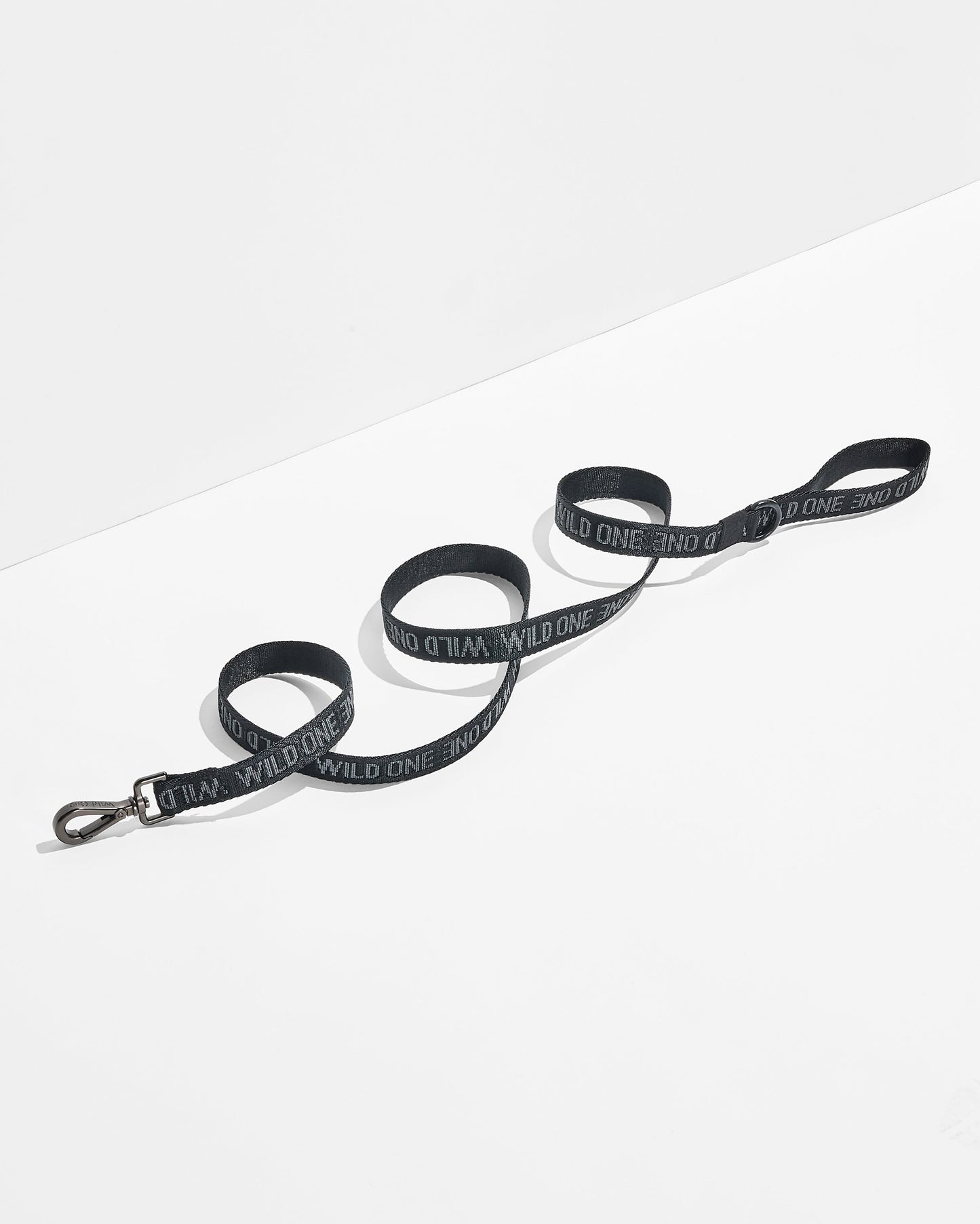 Lightweight Dog Leash