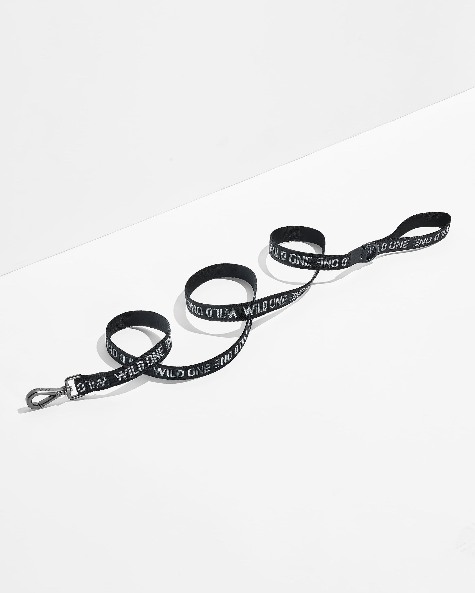 Cushioned Harness + Lightweight Leash Walk Kit