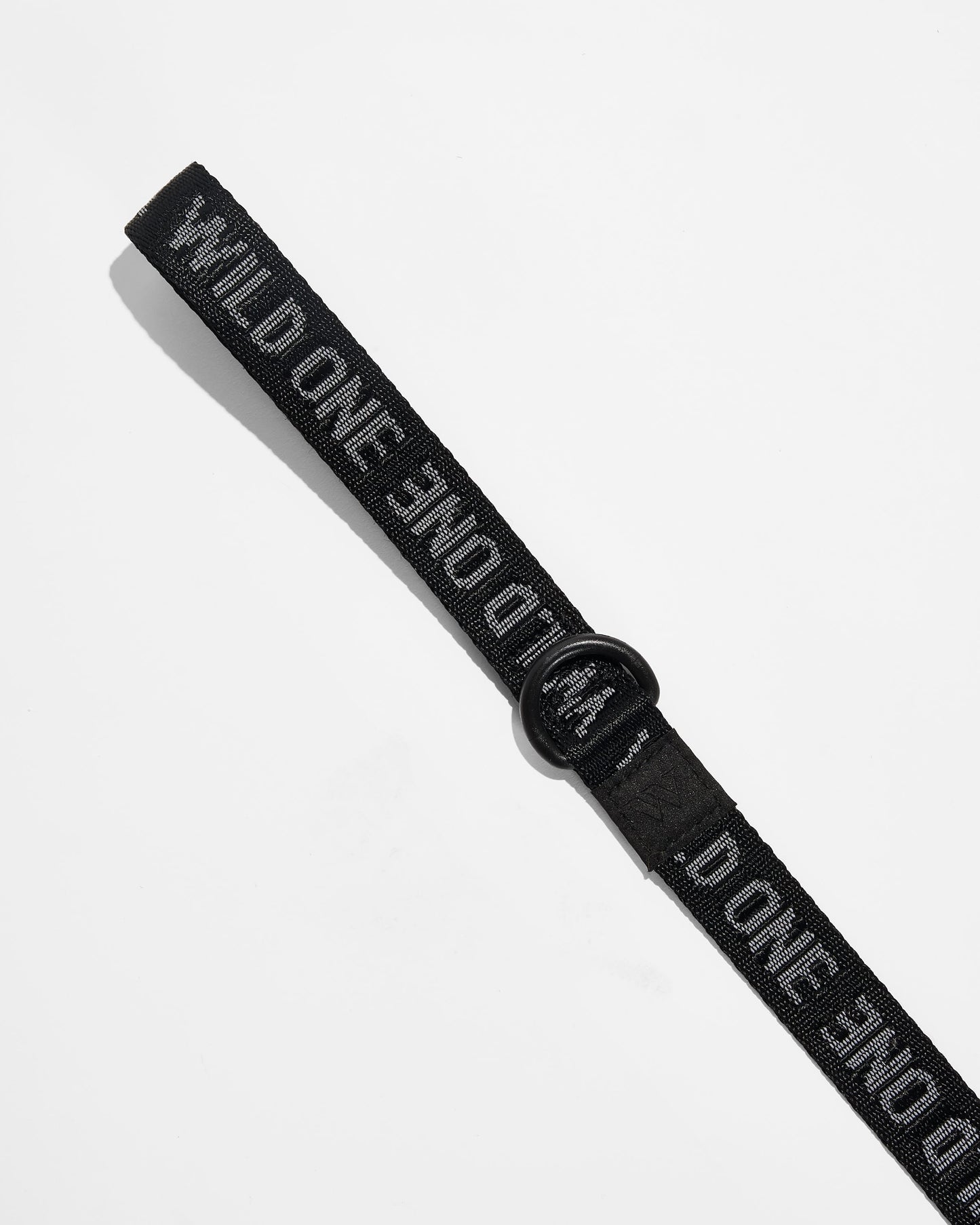 Lightweight Dog Leash
