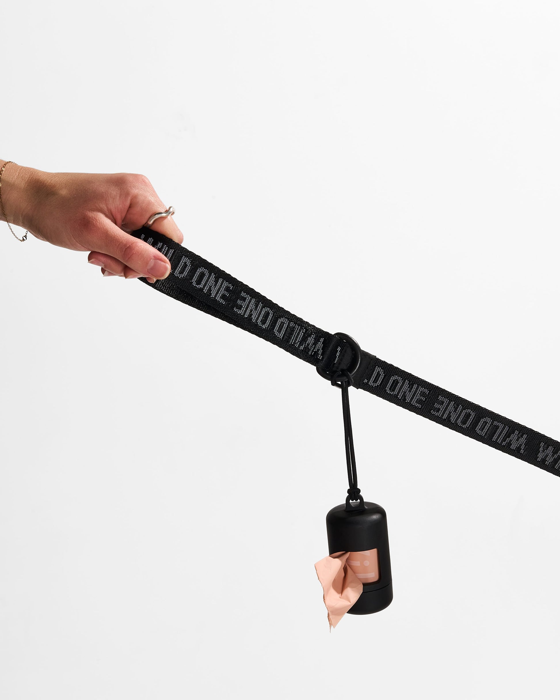 Lightweight Dog Leash