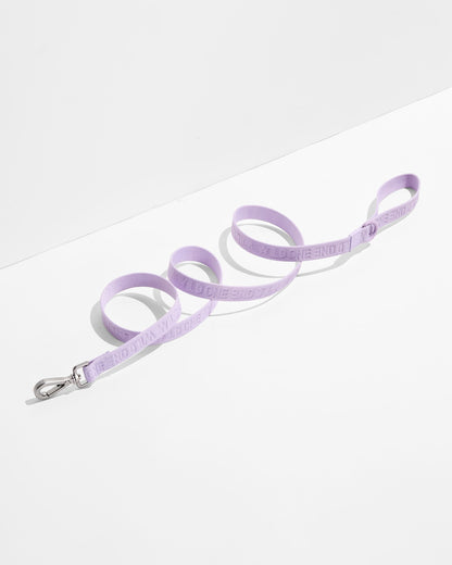Quick-Release Collar + Lightweight Leash Walk Kit