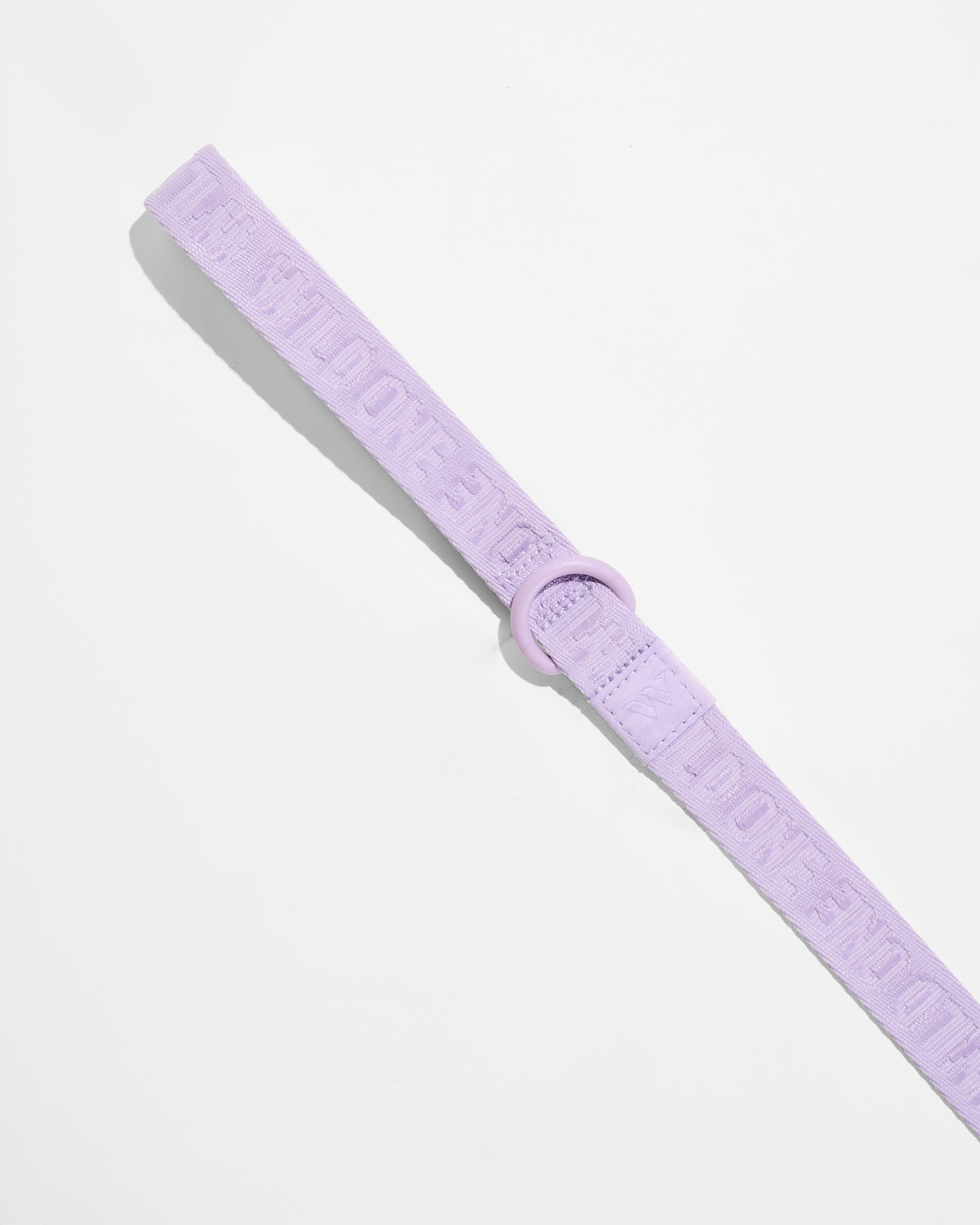 Lightweight Dog Leash
