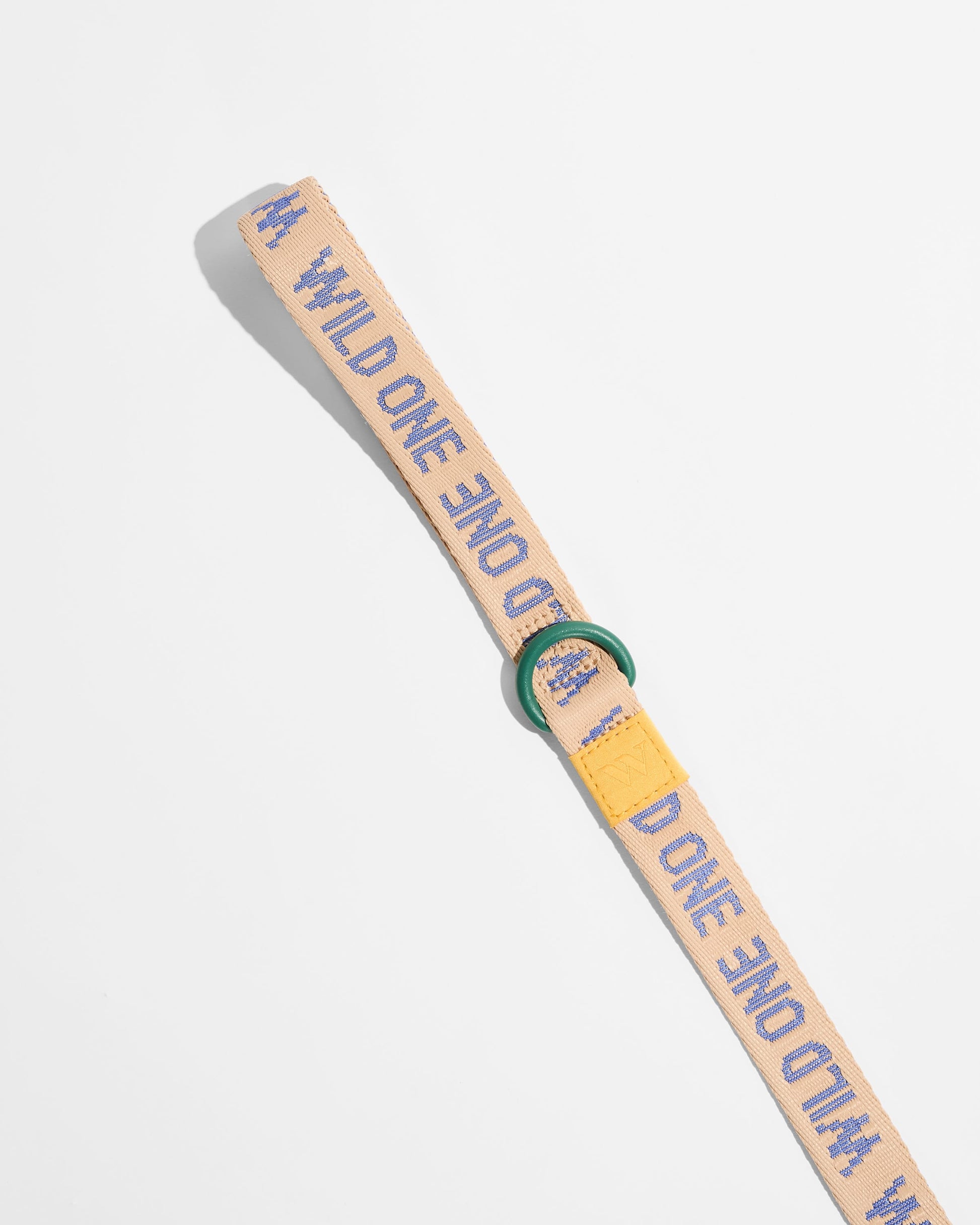 Lightweight Dog Leash