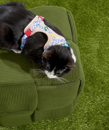 Cat Harness & Leash + Collar Kit