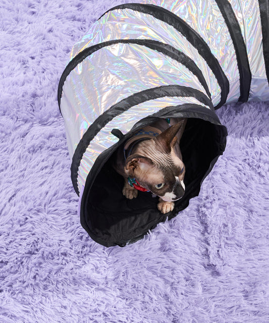 Cat Tunnel